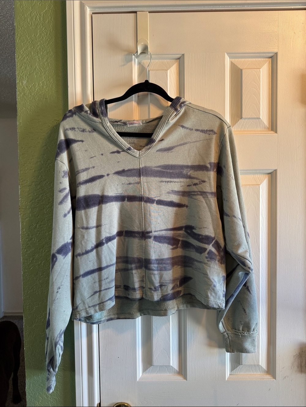 Free People Movement hoodie